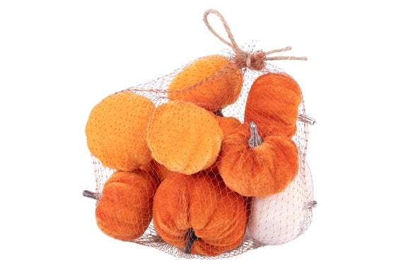 PUMPKIN SET 10 LIGHT COLOR PUMPKINS - 5927009