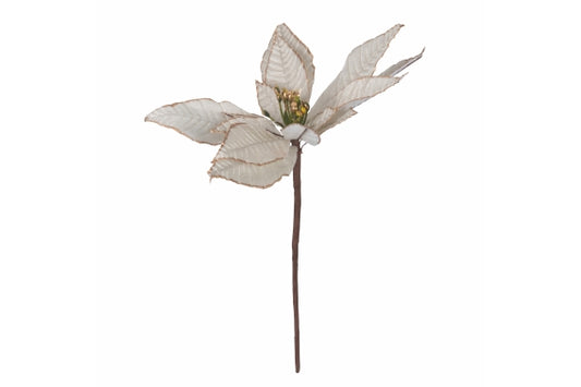 WHITE POINSETTIA 13CM - 5918921