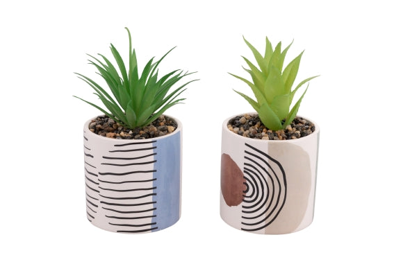 VENICE LIDO MODERN PIANTINA 2 ASS - 5922907