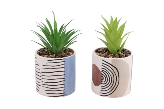 VENICE LIDO MODERN PIANTINA 2 ASS - 5922907