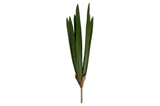 GARDEN ORCHID LEAF 59.5CM - 5926601
