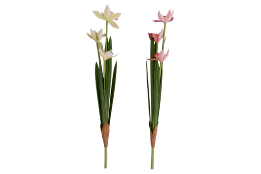 GARDEN ORCHID 45.5CM 2 ASS. - 5926602