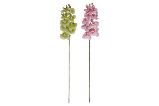 GARDEN ORCHID 94CM 2 ASS. - 5926608