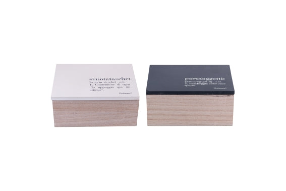VICTIONARY BOX 2 ASS/ LID 20X15X9CM - 5927298